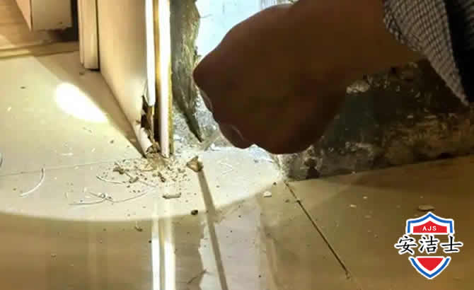 静安区房屋建筑防治白蚁