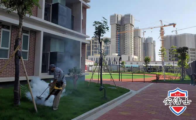静安区工厂工地除白蚁