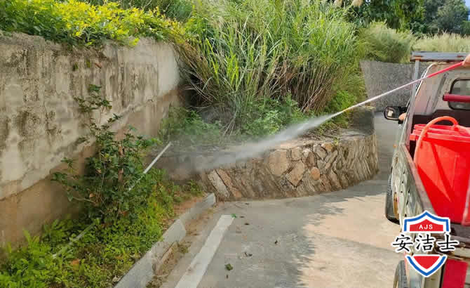 静安区道路堤坝白蚁防治